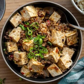 Mapo Tofu